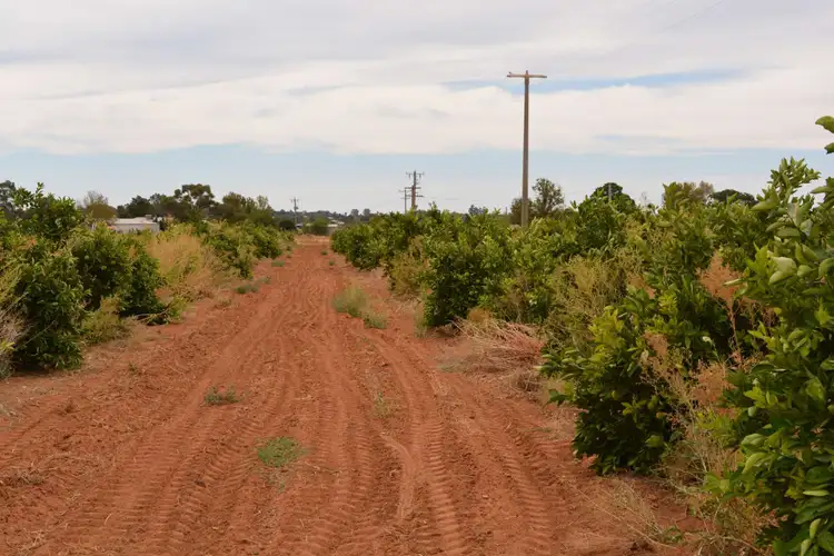 Fifth view of Homely rural property listing, 358 Boomerang Avenue, Cardross VIC 3496