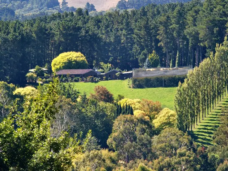 Main view of Homely house listing, 86 Ranns Road South, Carey Gully SA 5144