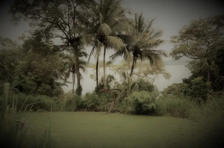 Sixth view of Homely house listing, 1291 Mossman-Daintree Road, Rocky Point QLD 4873