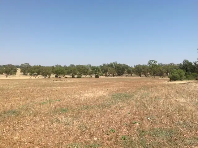 Main view of Homely land listing, Lot 15 Newell Highway, Peak Hill NSW 2869