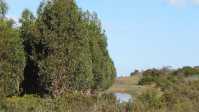 Sixth view of Homely rural property listing, Address available on request