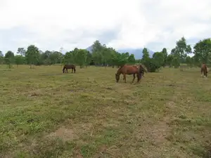 Main view of Homely land listing, Address available on request