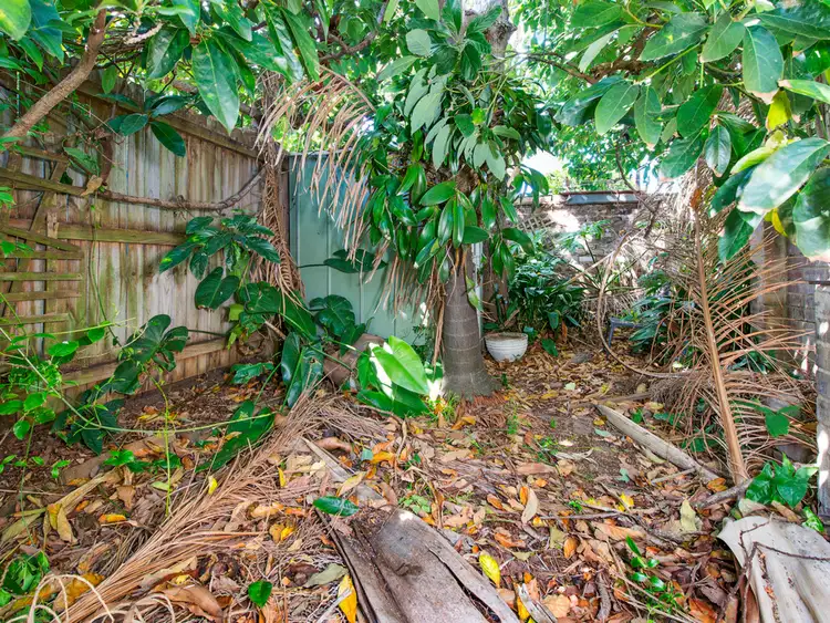 Fifth view of Homely house listing, 28 Margaret Street, Newtown NSW 2042