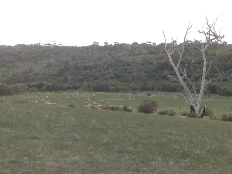 Seventh view of Homely land listing, Section 439 Pope Drive, Charlton Gully SA 5607