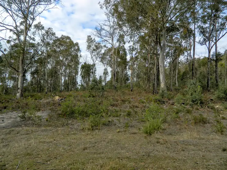 Fifth view of Homely land listing, 0 Bluff Road, Elderslie TAS 7030