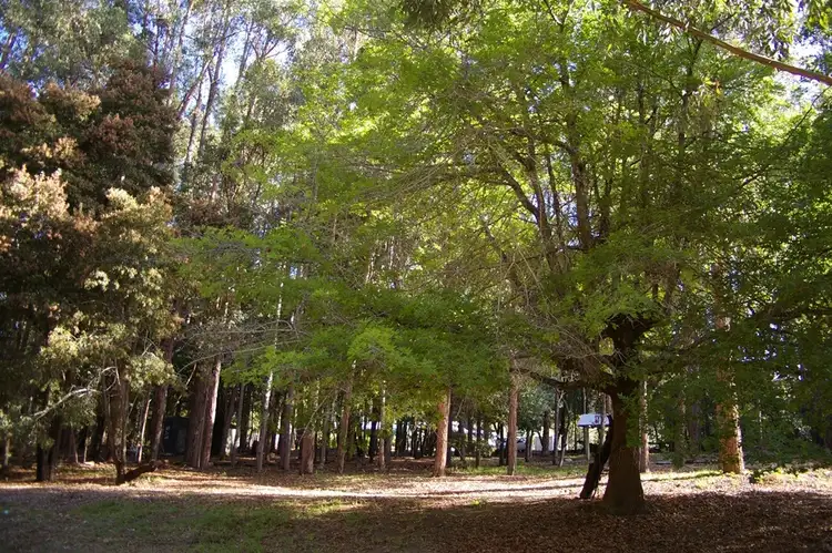 Second view of Homely land listing, Lot 132 Karri Lane, Quinninup WA 6258