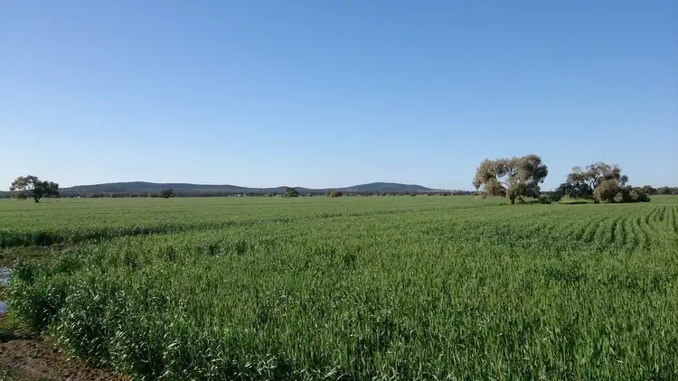 Third view of Homely rural property listing, Address available on request