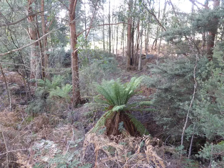 Fifth view of Homely land listing, Lot 1 Hanlons Road, Ellendale TAS 7140