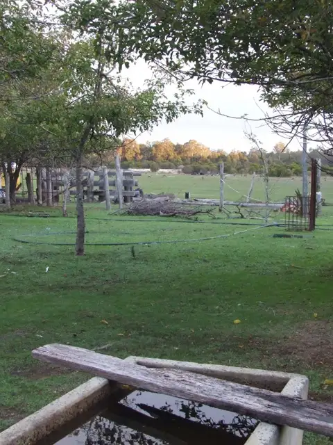 Main view of Homely rural property listing, 338 Junction Road, Manjimup WA 6258