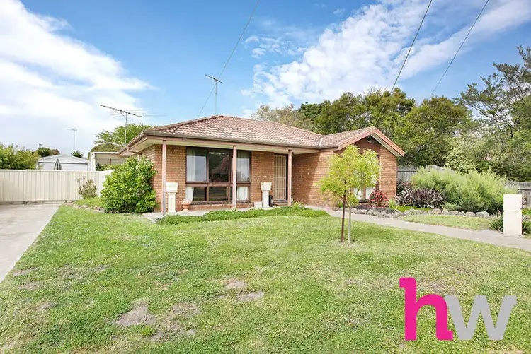 6 Winter Street, Belmont VIC 3216