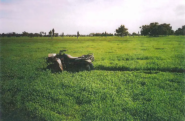 Seventh view of Homely rural property listing, Lot 8 Mounsey Road, West Coolup WA 6214