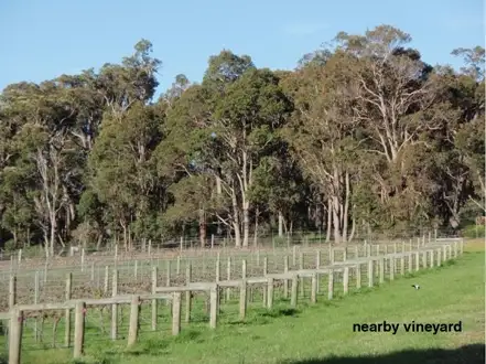 Fifth view of Homely land listing, 54 Sylvan Rest, Quindalup WA 6281