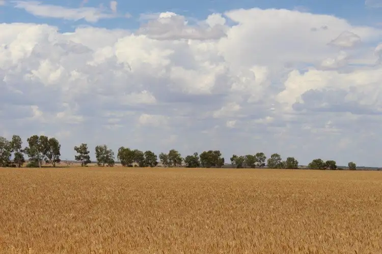 Third view of Homely rural property listing, 'Alunga' Lots 8445 & 10948 Balla-Whelarra Road, Ogilvie WA 6535