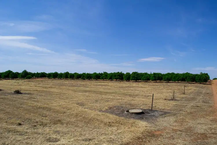 Fifth view of Homely land listing, - Derrick Road, Loxton SA 5333