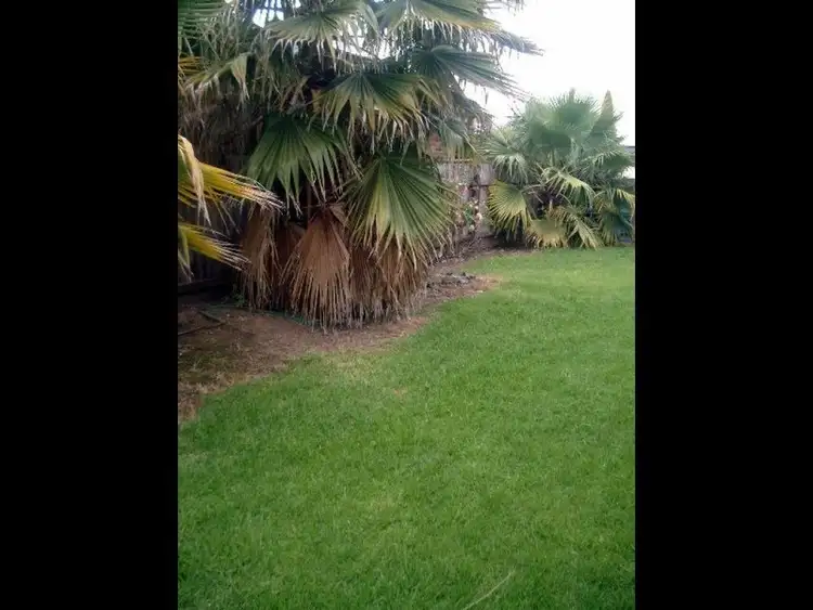 Third view of Homely house listing, 80 Montefiores Street, Wellington NSW 2820