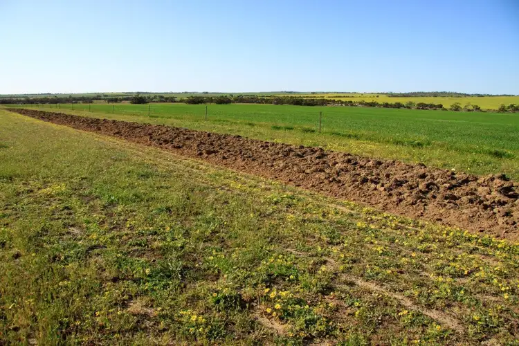 Third view of Homely rural property listing, 3929 Calingiri-Goomalling Rd, Goomalling WA 6460