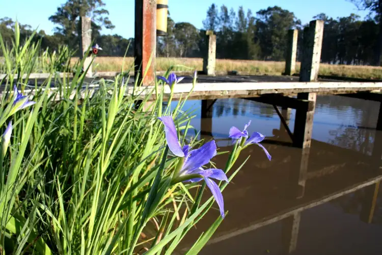 Third view of Homely rural property listing, 93 View Street, Vacy NSW 2421