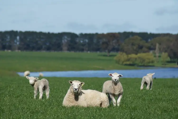 Second view of Homely rural property listing, Address available on request