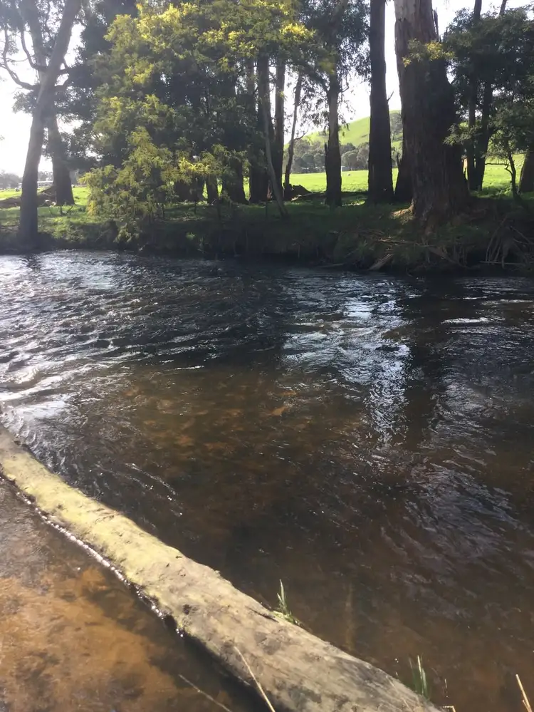 Second view of Homely rural property listing, 1187 Murrindindi Road, Murrindindi VIC 3717