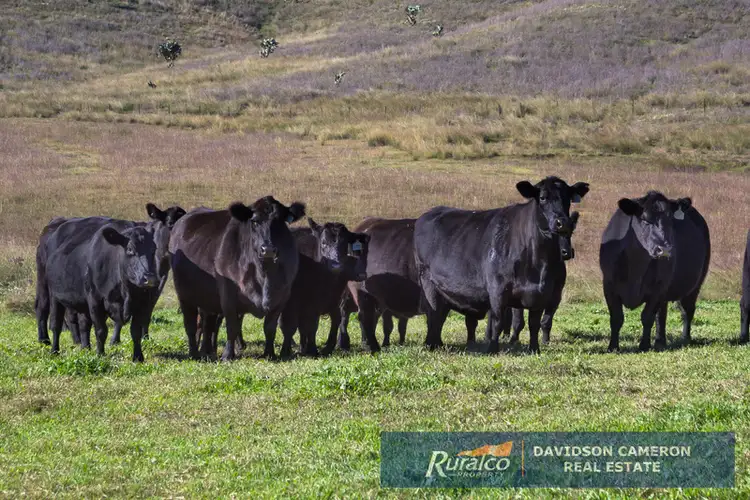 Second view of Homely rural property listing, Browning Vale 719 Yarramanbully Road, Manilla NSW 2346