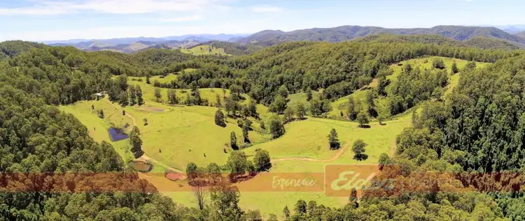 Fourth view of Homely rural property listing, 344 Dees Road, Belbora NSW 2422