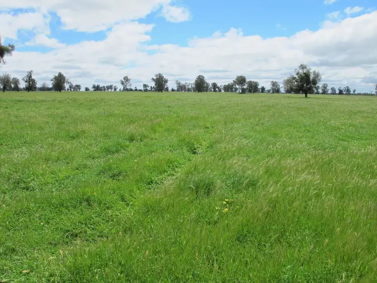Second view of Homely rural property listing, 175 Noradjuha Tooan East Road, Horsham VIC 3400