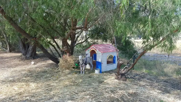 Fifth view of Homely house listing, 21 Shenton Road, Barragup WA 6209