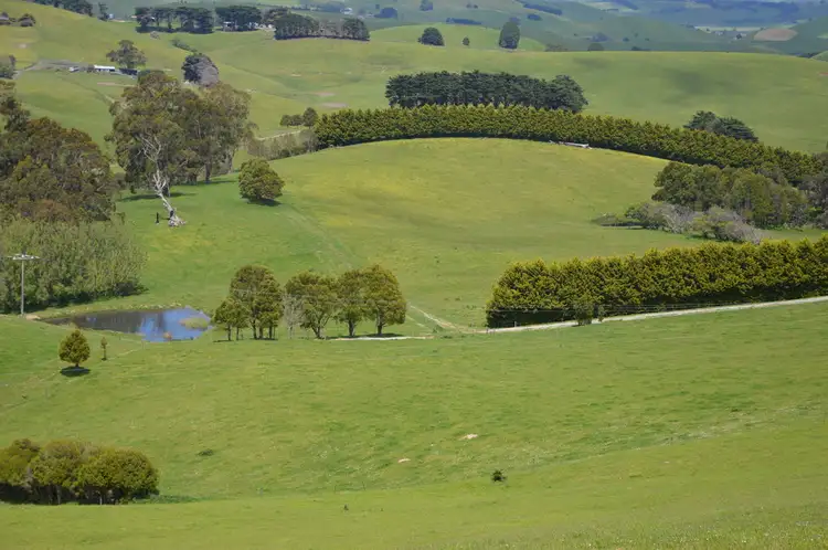 Main view of Homely rural property listing, 725 Andersons Inlet Road, Bena VIC 3946