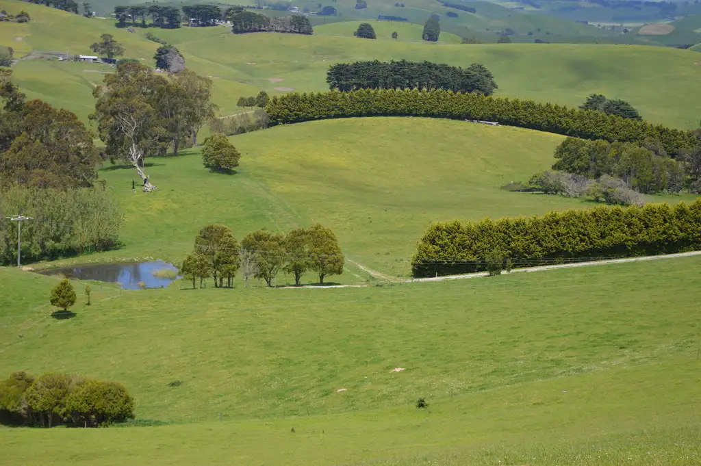 Main view of Homely rural property listing, 725 Andersons Inlet Road, Bena VIC 3946