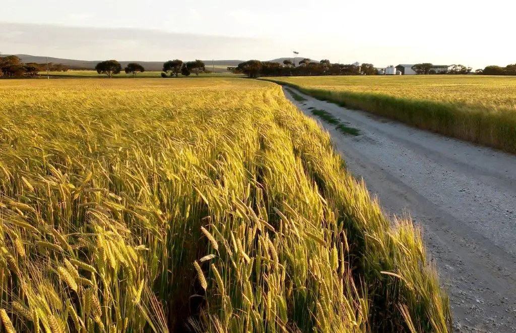 Main view of Homely rural property listing, 1717 Floater Rd, Ravensthorpe WA 6346
