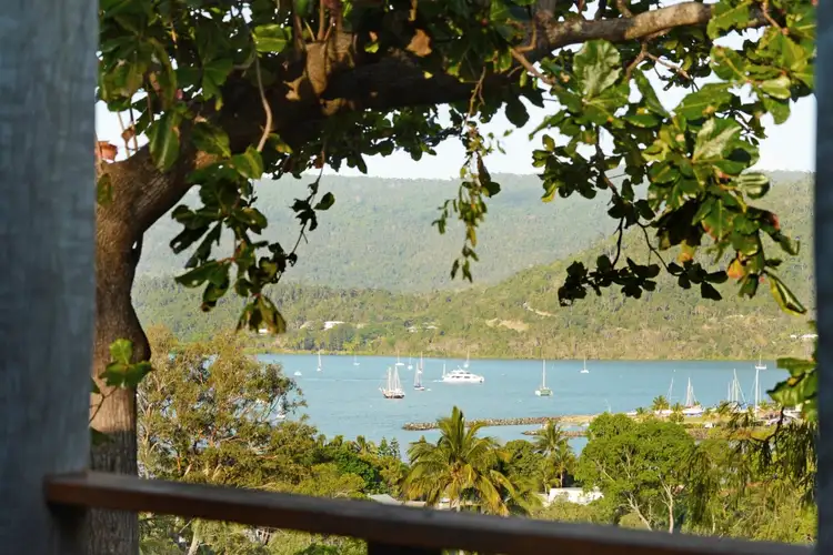 Third view of Homely house listing, 8 Lamond Street, Airlie Beach QLD 4802