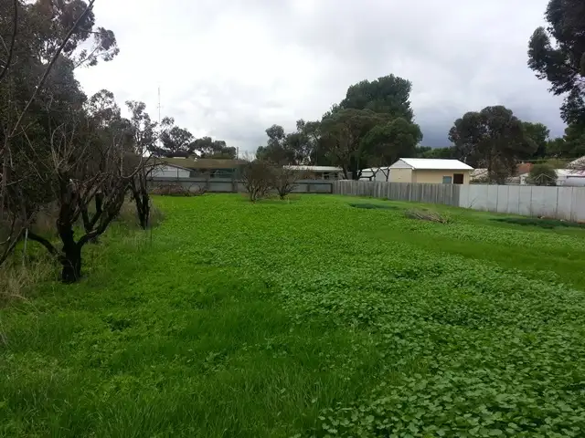 Second view of Homely land listing, 4 Ninth Street, Snowtown SA 5520