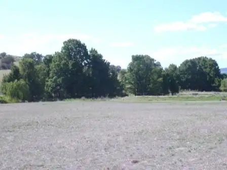 Fifth view of Homely house listing, 2416 Taylors Flat Road, Boorowa NSW 2586