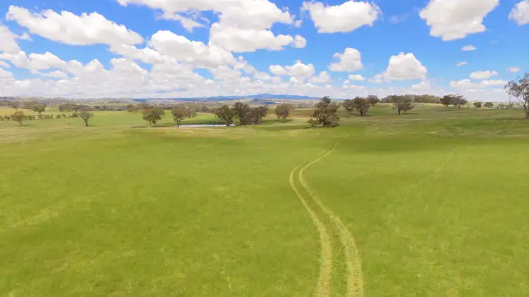 Second view of Homely rural property listing, 2818 Mitchell Highway, Molong NSW 2866