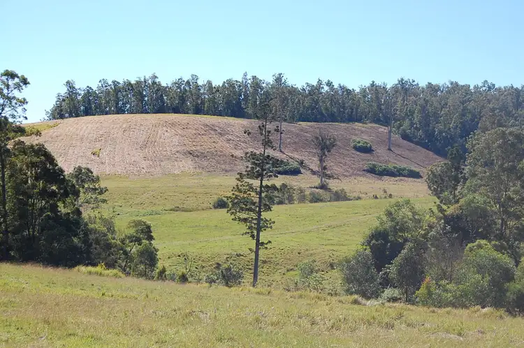 Sixth view of Homely rural property listing, Culmaran Creek Larsson Road, Culmaran Creek NSW 2469