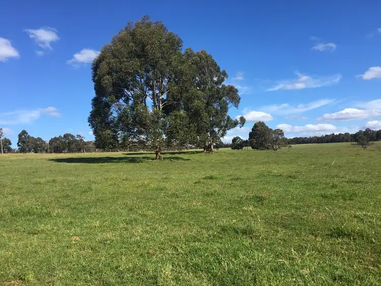 Fifth view of Homely rural property listing, 3988 Jalbarragup Road, Walsall WA 6280