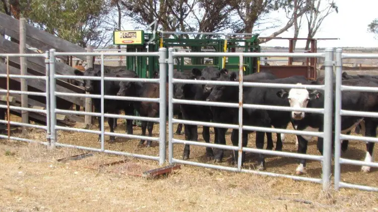 Seventh view of Homely rural property listing, 774 Middle Road, Jerdacuttup WA 6346