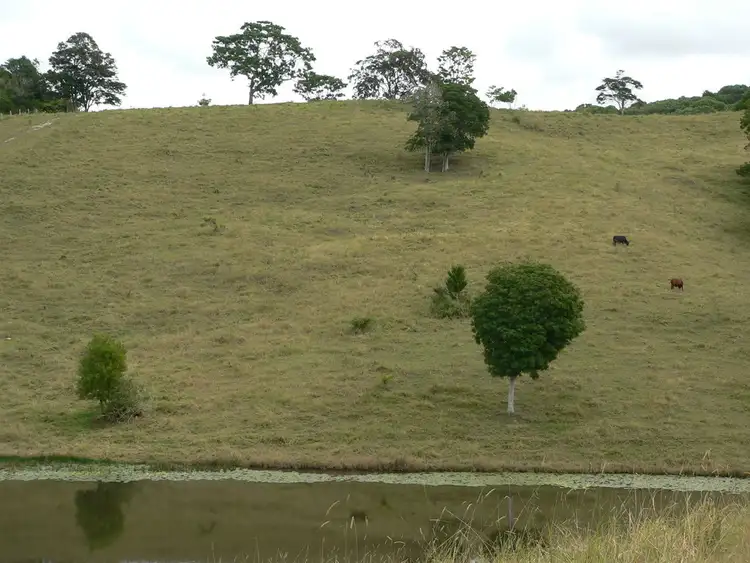 Fifth view of Homely land listing, 197 Black Pinch Road, Cootharaba QLD 4565