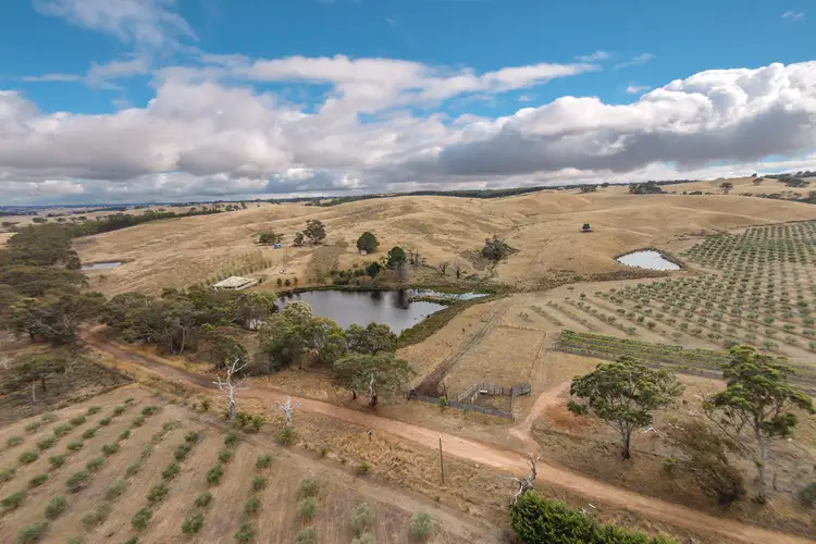 Main view of Homely rural property listing, 30 Lintons Lane, Glenhope VIC 3444