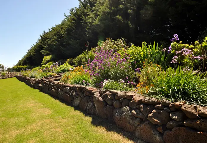 Sixth view of Homely rural property listing, 720 Dickins Road, Freshwater Creek VIC 3216