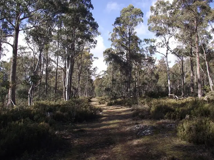 Second view of Homely rural property listing, . Silver Plains Road, Interlaken TAS 7030