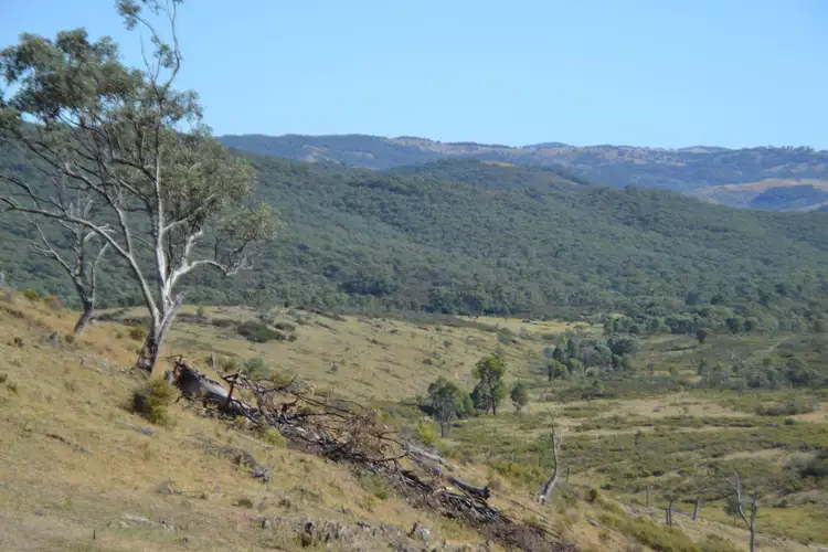 Seventh view of Homely rural property listing, "Lawlers Flat" Hill End Road, Hill End, Mudgee NSW 2850