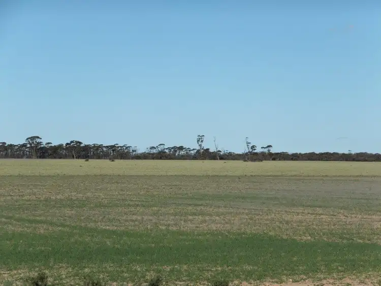 Seventh view of Homely rural property listing, Lot 1 Pollard, Kalannie WA 6468