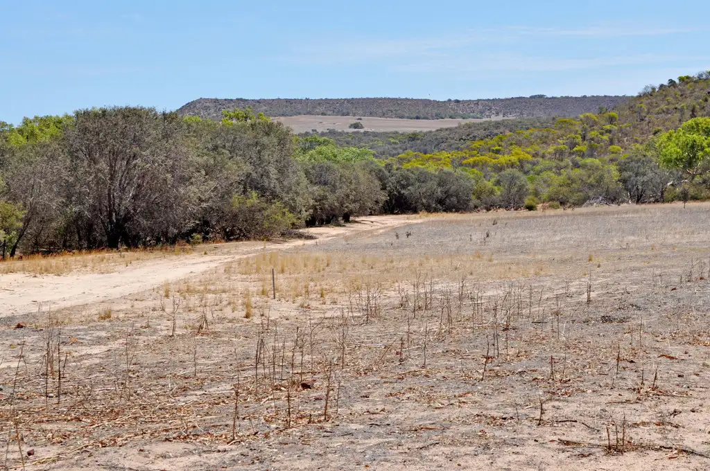 Main view of Homely land listing, Lot 71 Murphy-Yetna Road, Nanson WA 6532