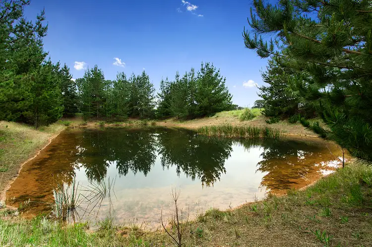 Third view of Homely land listing, 46 Graydens Road, Tyabb VIC 3913