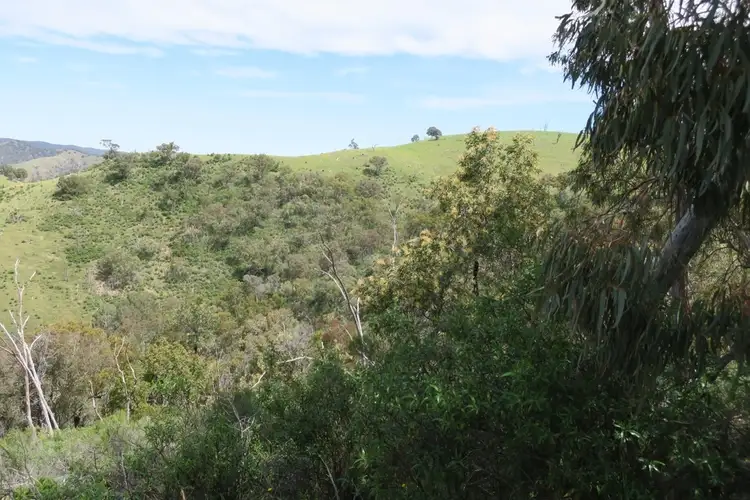 Fifth view of Homely rural property listing, Address available on request