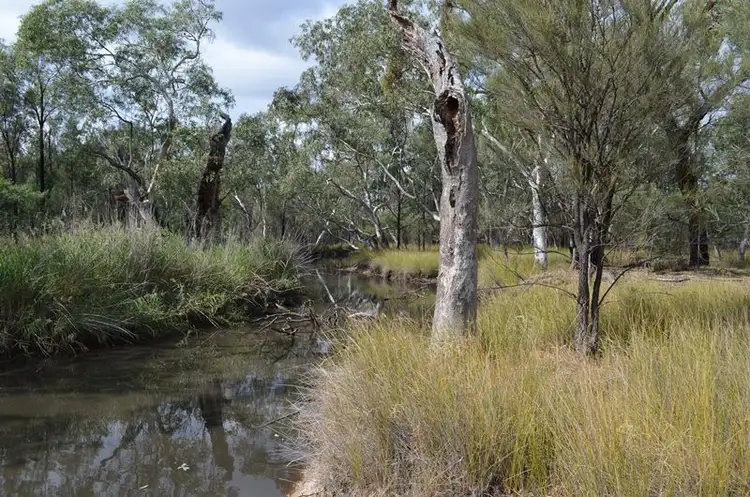 Second view of Homely rural property listing, 2123 Pilliga Rd, Wee Waa NSW 2388