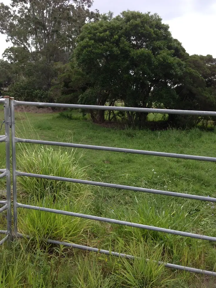 Seventh view of Homely land listing, Lot 5  26 Hester Street, Shailer Park QLD 4128