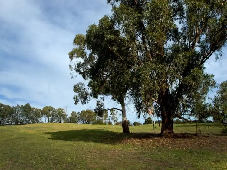 Second view of Homely rural property listing, 1340 Westernport Road, Heath Hill VIC 3981