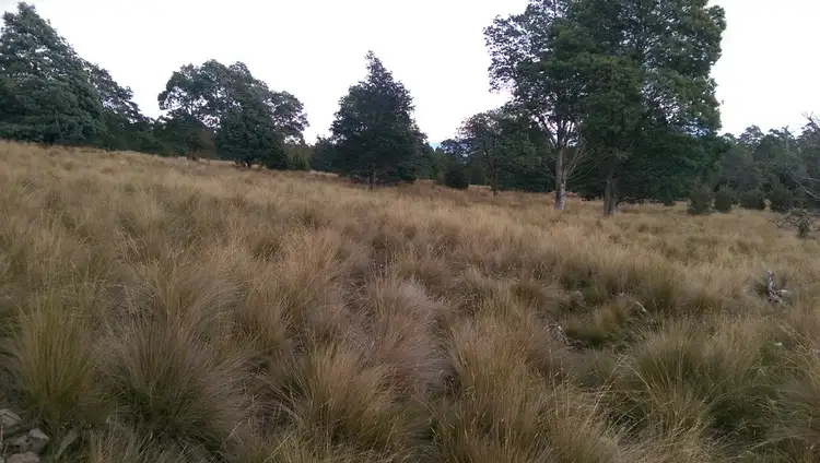 Third view of Homely rural property listing, Lot 4/600 Mount Barrow Rd, Nunamara TAS 7259